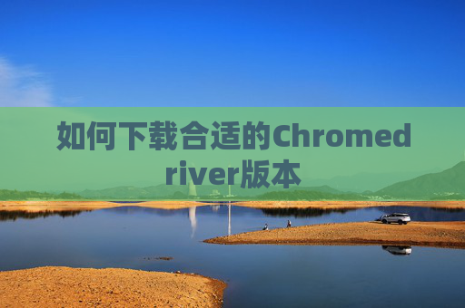 如何下载合适的Chromedriver版本